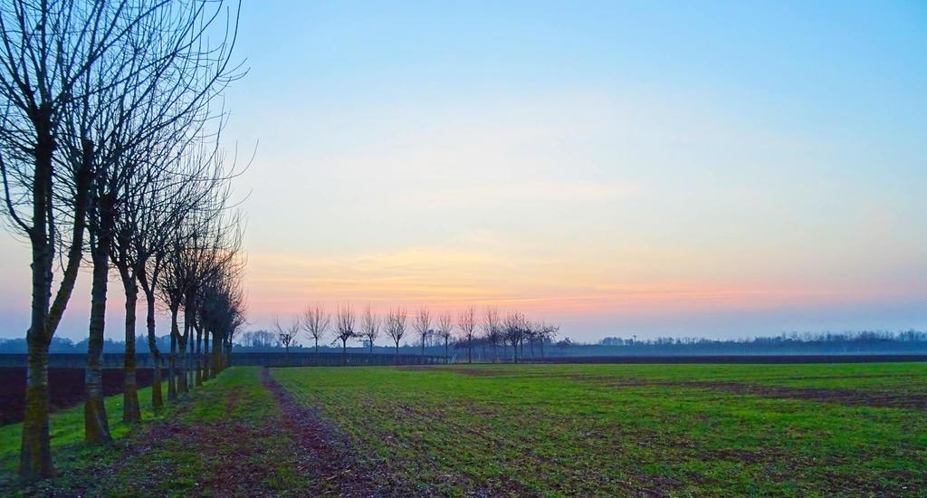Agriturismo Paradiso Sarego Eksteriør bilde